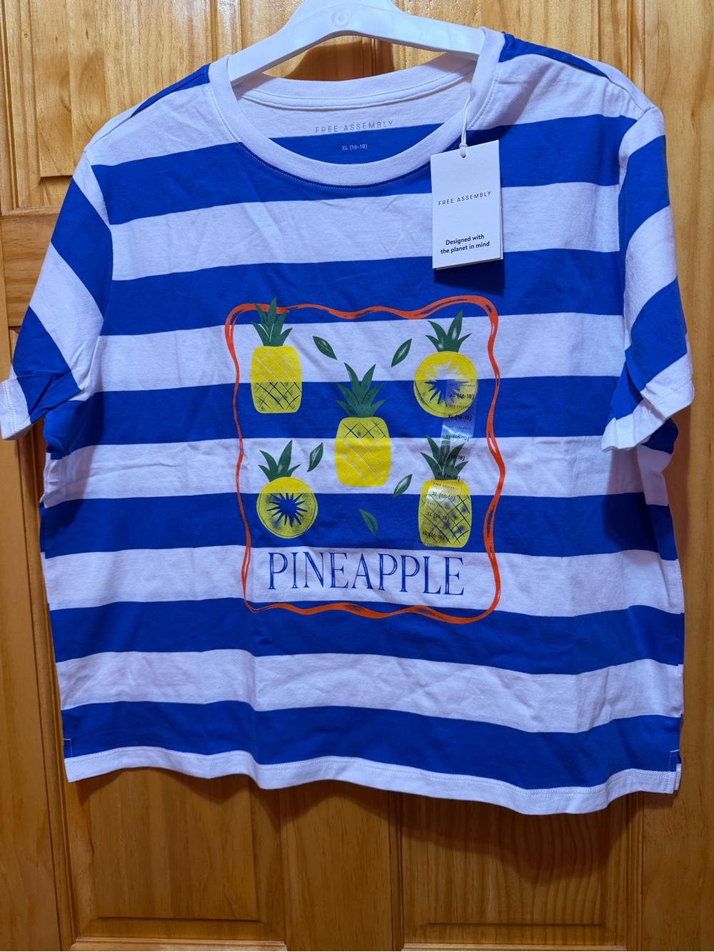 Women’s Blue & White Striped Pineapple Graphic Tee